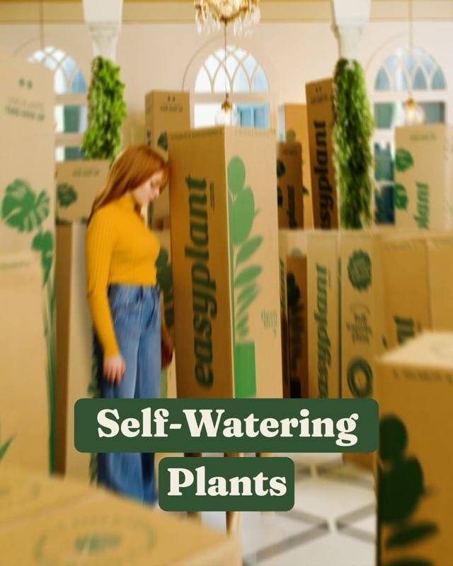 EasyPlant Jungle
